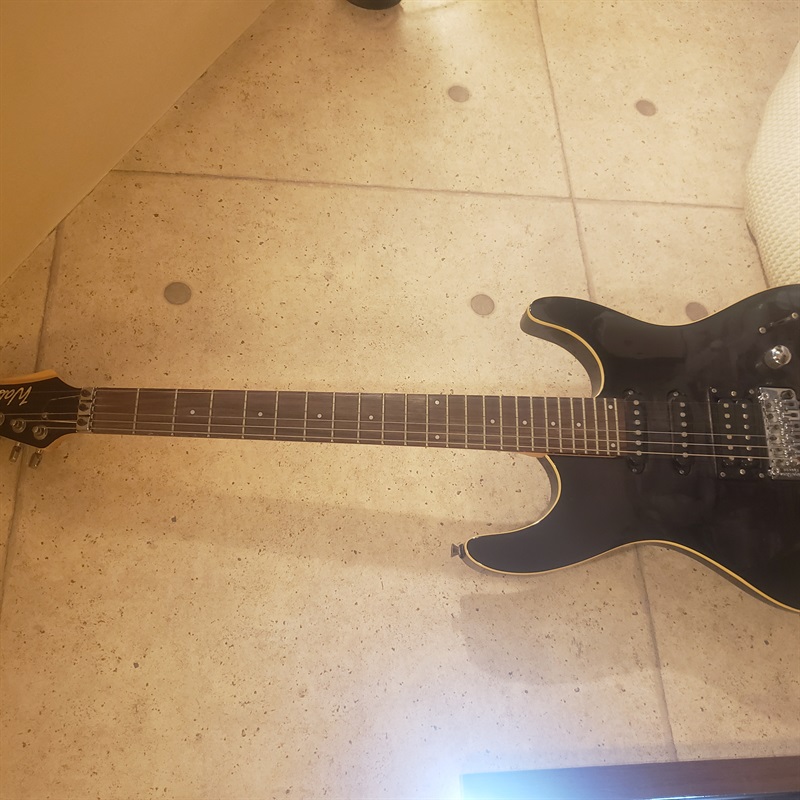 Washburn RX25の画像